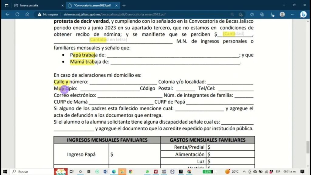 Modelo De Carta Bajo Protesta De Decir Verdad miscartas.org